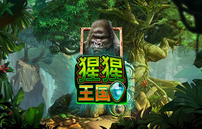 19体育平台